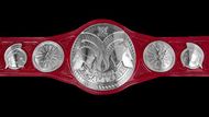 Should WWE unify The Tag team titles?